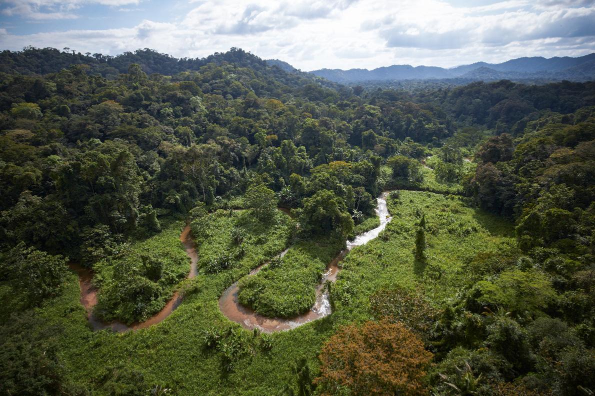 Lendária civilização perdida é encontrada embaixo de uma floresta em Honduras