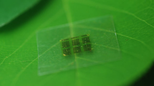 Cientistas produzem chip de computador feito a partir de madeira